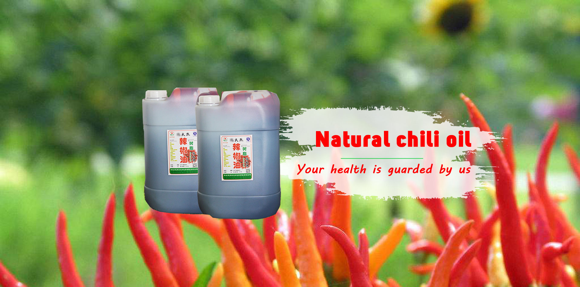 國內(nèi)首位EV行業(yè)