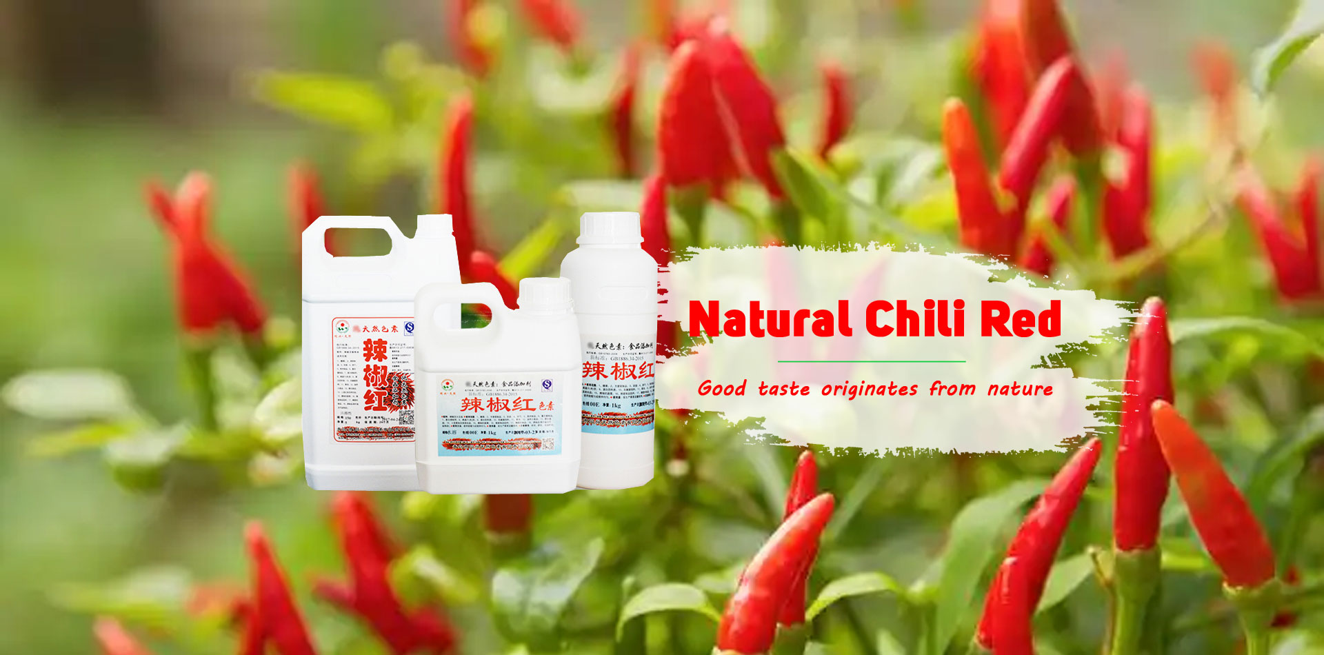 因強(qiáng)大 而矚目